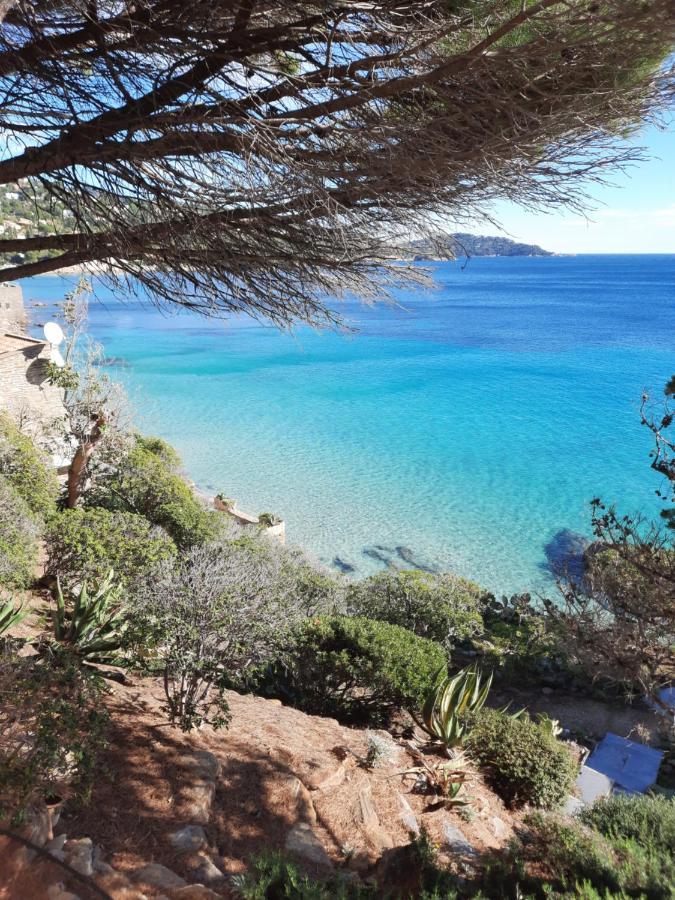 L'heure Bleue *